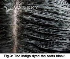 240606152738_Hair-Dyed with indigo-s.jpg